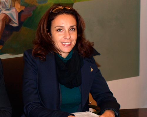 Elena Artioli, Consigliera provinciale a Bolzano